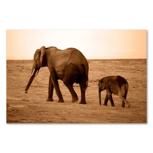 Postereck 3079 poster - , tela