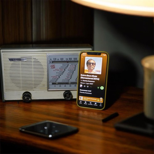 Radio vintage geloso speaker - vintage,