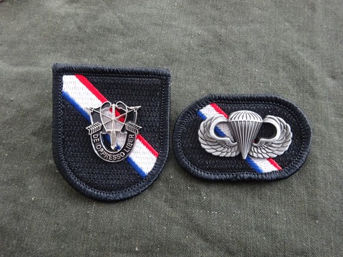 Set flash crest - (a13-08),