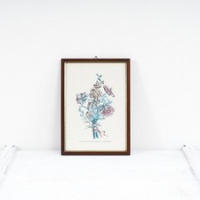 Stampe Vintage di Fiori