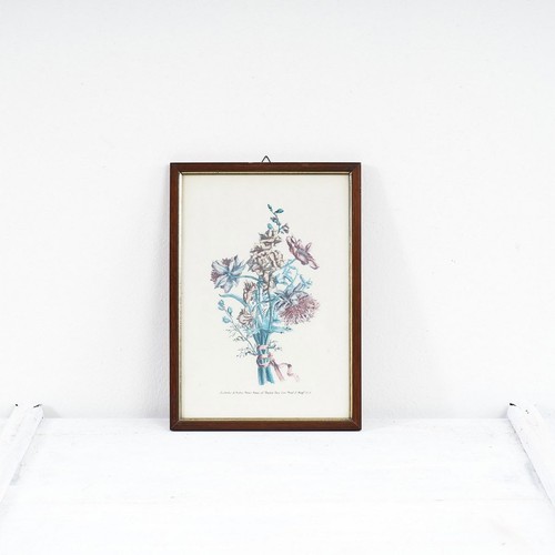 Stampe vintage fiori - vintage, di