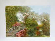 MARISA BENETTI - 2 LITOGRAFIE  - 50 X 70