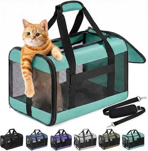 Box per gatti - box,