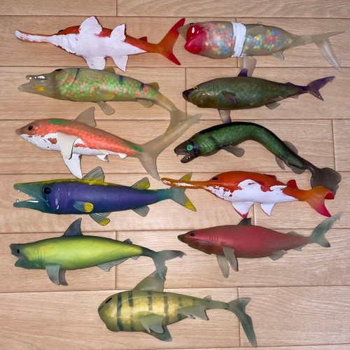Shark attack giocattoli - attack,