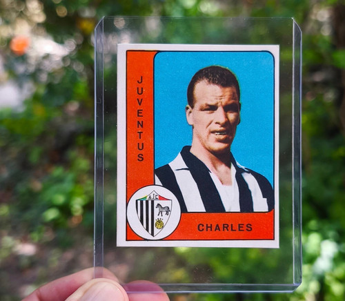 Charles calciatori panini - charles,