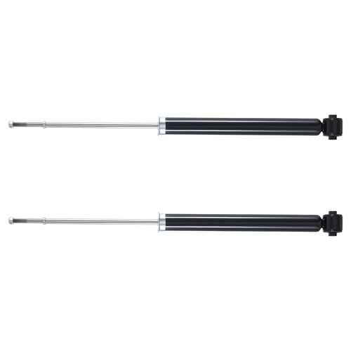 Ammortizzatore completo - 2x,