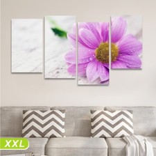 Margherita Quadro su tela