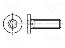 acciaio inox A2 0,5 Torx M3x5