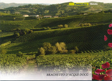 Folder 2016 Brachetto D'Acqui