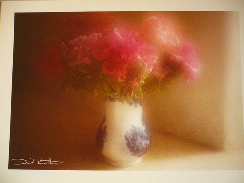 Carte postale david - ,