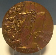 Medaglia serie Nelli guerra di