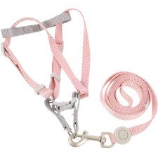  Cani Accessori Guinzaglio