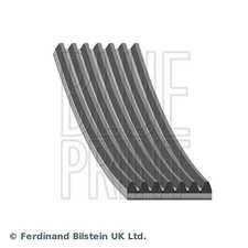 BLUE PRINT Cinghia Scanalata