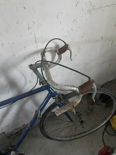 Bicicletta bianci ann da - bicicletta,