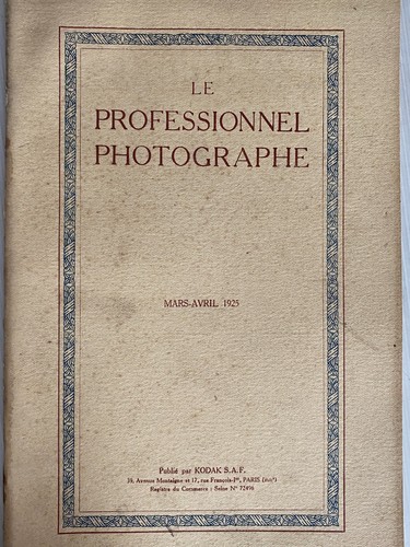 Professionista fotografo - il,