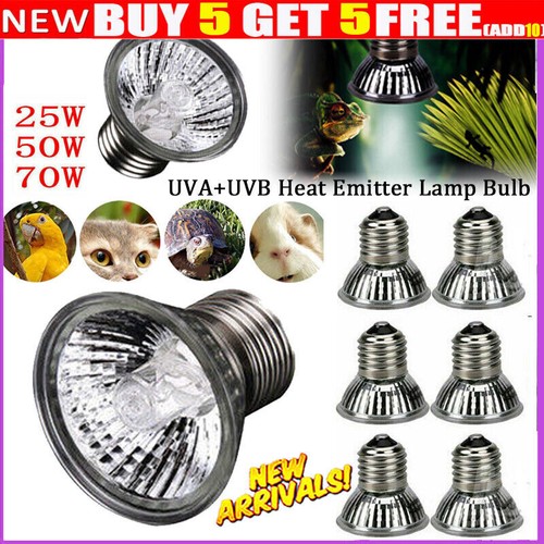 Lampadina uva uvb rettile - lampadina,