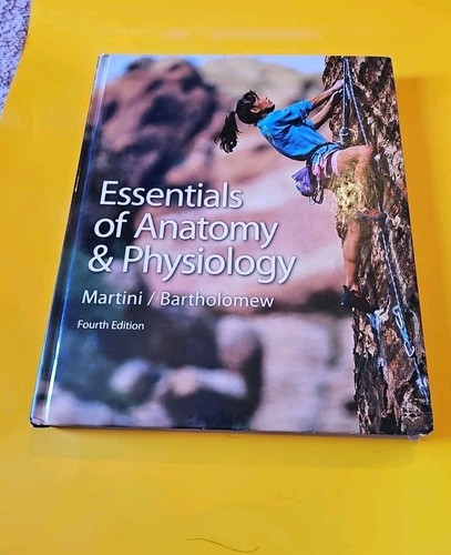 2006 essentials anatomy - 2006, of