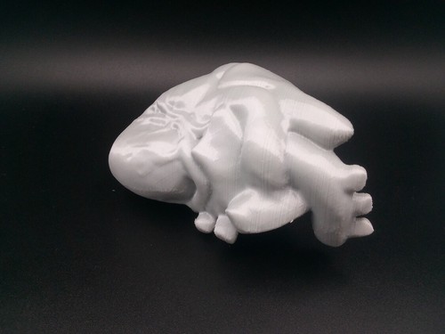 Scultura cuore umano modello