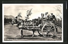 Cartolina Palermo, Carretto