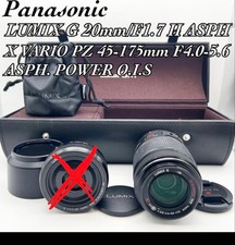 Panasonic Lumix G X Vario PZ
