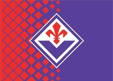 Bandiera stadio compatibile