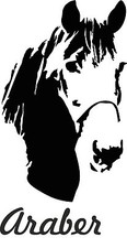 Adesivo auto ARABO anche per
