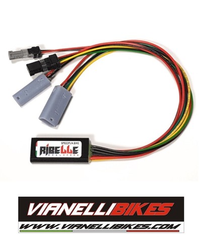 Kit chip speedfun - chip, ribelle
