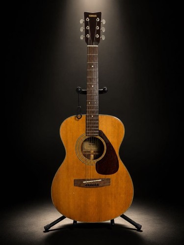 Chitarra acustica vintage