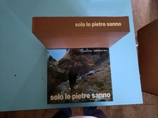 SOLO LE PIETRE SANNO JOLY QUIRINO - BINI GIANFRANCO VIRGINIA 1980 