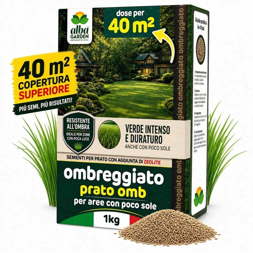 Semi prato ombra resistente - semi,
