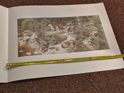 Bev doolittle illusionist - bev,