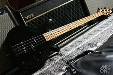 Esp custom order basso - esp,