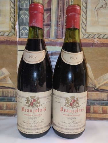 Vino 1967 beaujolais - 1×,