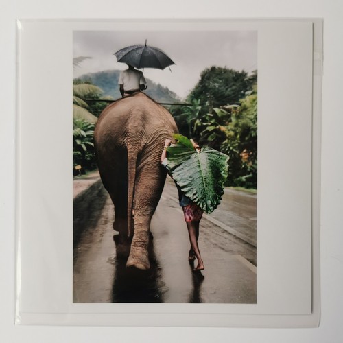 Steve mccurry young - steve,