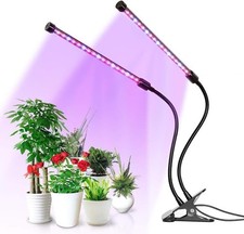 Luce Coltivazione Nera per