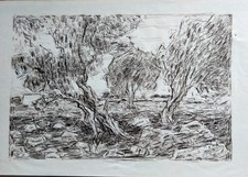 Vincenzo Ciardo No Casciaro