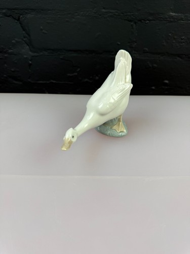 Statuina anatra sospetta