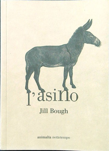 Asino bough jill - bough,
