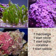 NEW!Kit Starter Avviamento