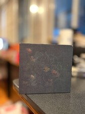 Tomorrowland 2024 20th