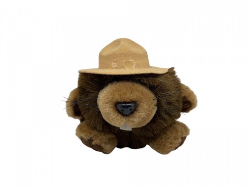 Peluche collezione castoro - peluche, da