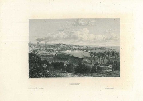 Veduta trieste - veduta,