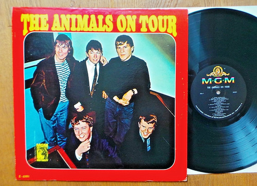 The animals - animals,