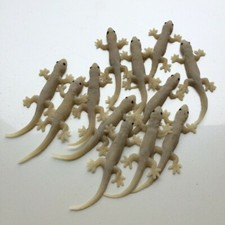 (Confezione da 12) Finto