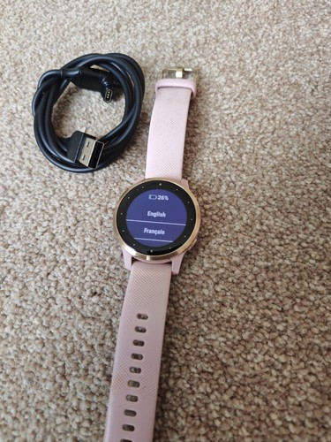 Smartwatch garmin vivoactive - smartwatch,