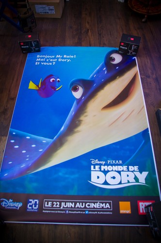Alla ricerca dory rifugio - alla, c