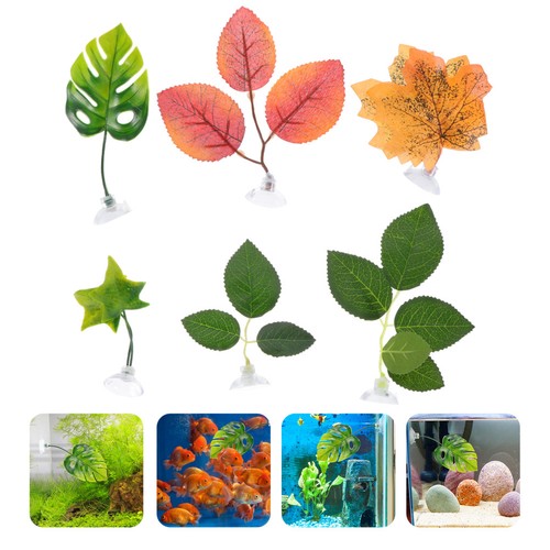 Pcs decorazione del - 6,