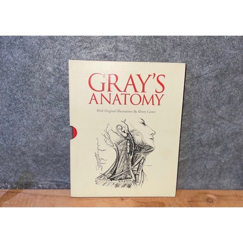 Gray anatomy henry carter - gray's,