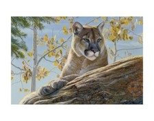 Poster stampa artistica da