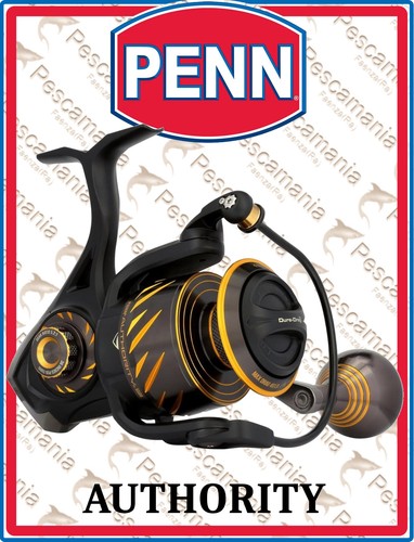 Mulinello saltwater penn - saltwater,